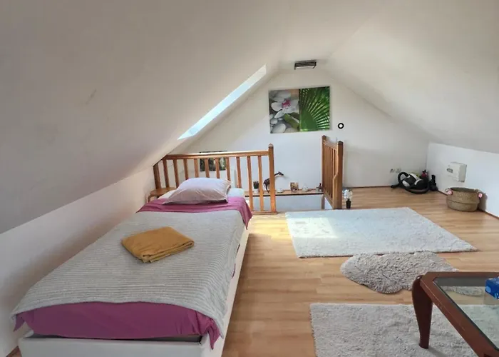 Alloggio in famiglia Cdg, Private 4 Roissy-en-France